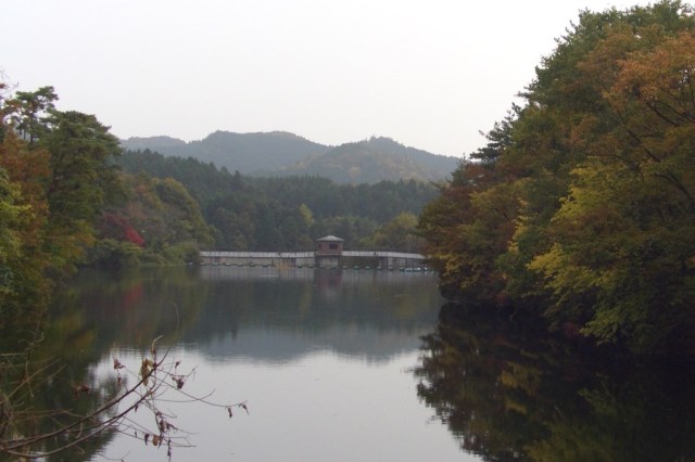 Taisho Pond